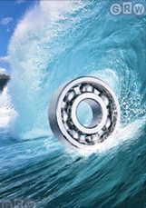 GRW Extreme Precision Bearing for Extreme Harsh Corrosive Environments Fresh Salt Water